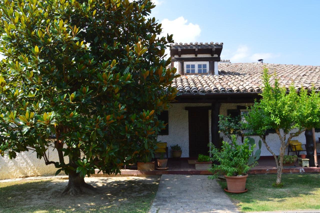 B&B Villa Lupidi 科里德尼亚 外观 照片