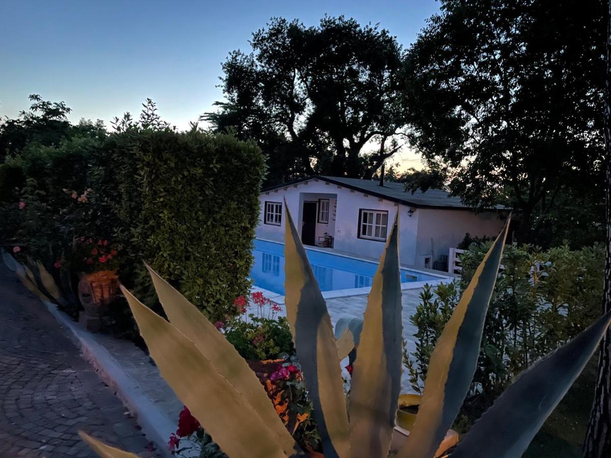 B&B Villa Lupidi 科里德尼亚 外观 照片