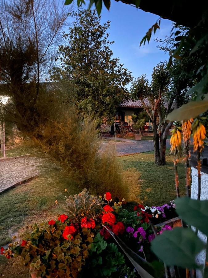 B&B Villa Lupidi 科里德尼亚 外观 照片